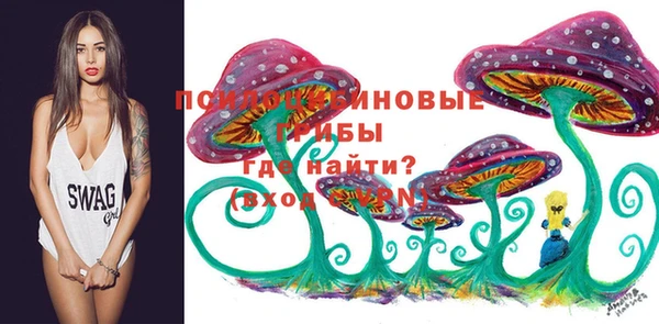 первитин Богородицк
