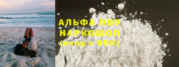 ECSTASY Богородск