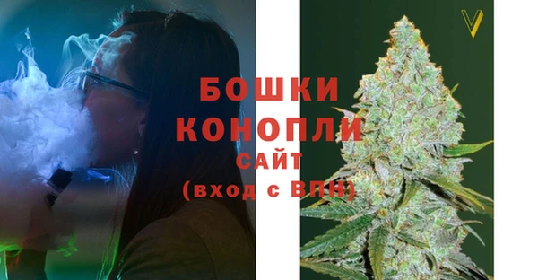 ECSTASY Богородск