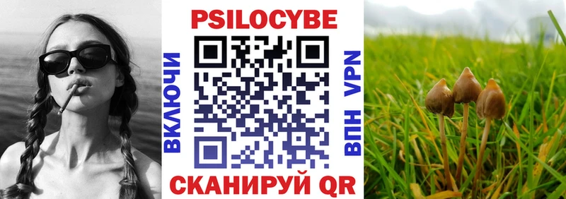 Купить где  Туапсе  Псилоцибиновые грибы Psilocybine cubensis 
