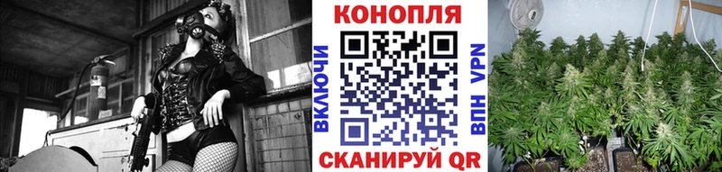 Купить закладки Туапсе Шишки марихуана планчик